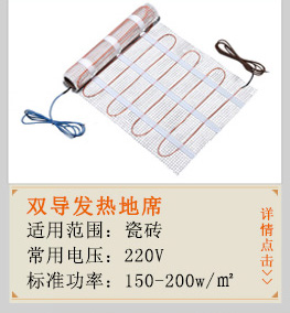 雙導(dǎo)發(fā)熱地席